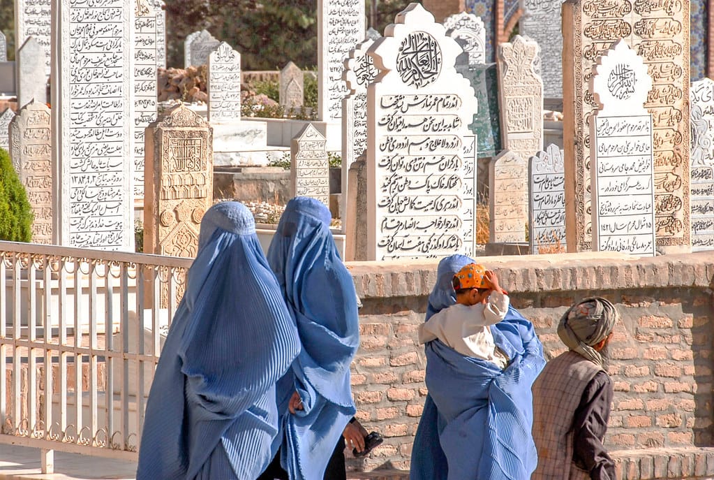 54464625921 e3d5224792 b