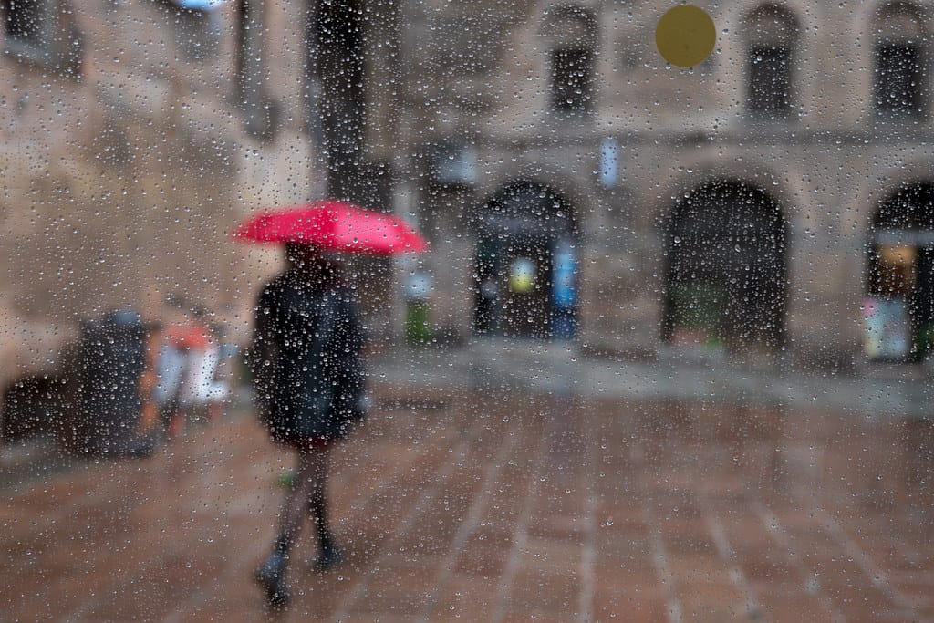 54464643564 fdf95f1427 b