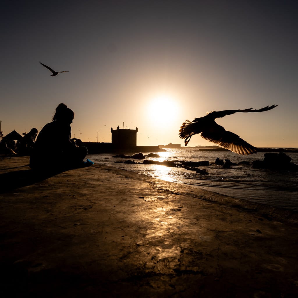 54464756860 3d74e7059b b